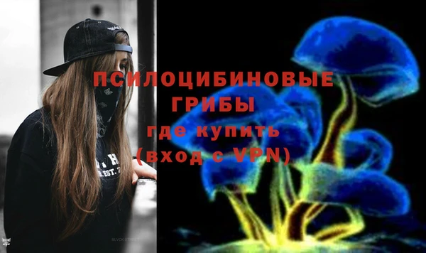 спиды Апатиты