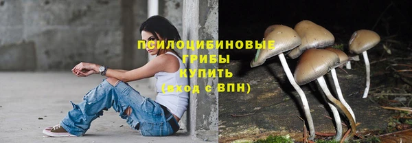 дурь Переславль-Залесский