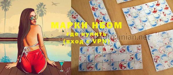 индика Анжеро-Судженск