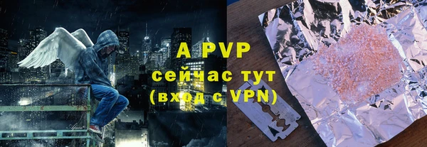 хмурый Нея