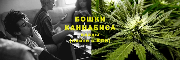 дурь Переславль-Залесский