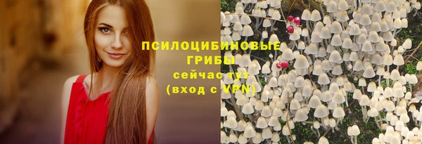 ешки Навашино