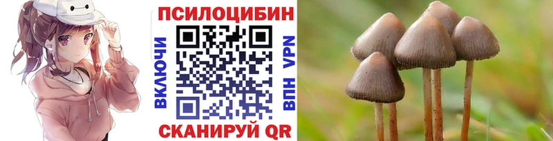 mega ONION  Нефтеюганск  darknet наркотические препараты  Псилоцибиновые грибы мицелий 