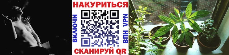 где продают   Нефтеюганск  Марихуана Bruce Banner 